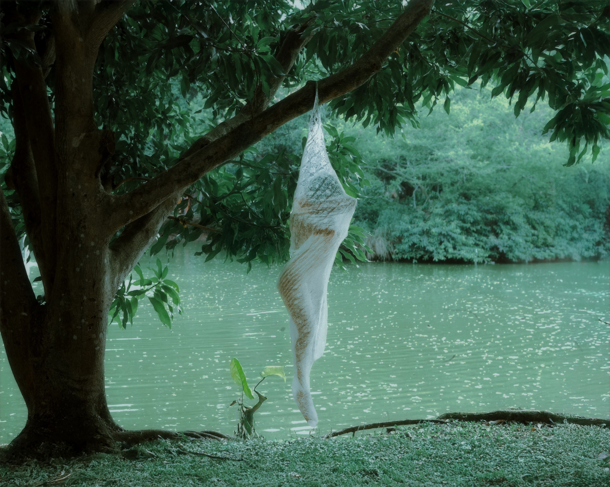 © Tatiana Montoya, Colombia, entry, Open Competition, Creative, 2026 Sony World Photography Awards.jpeg